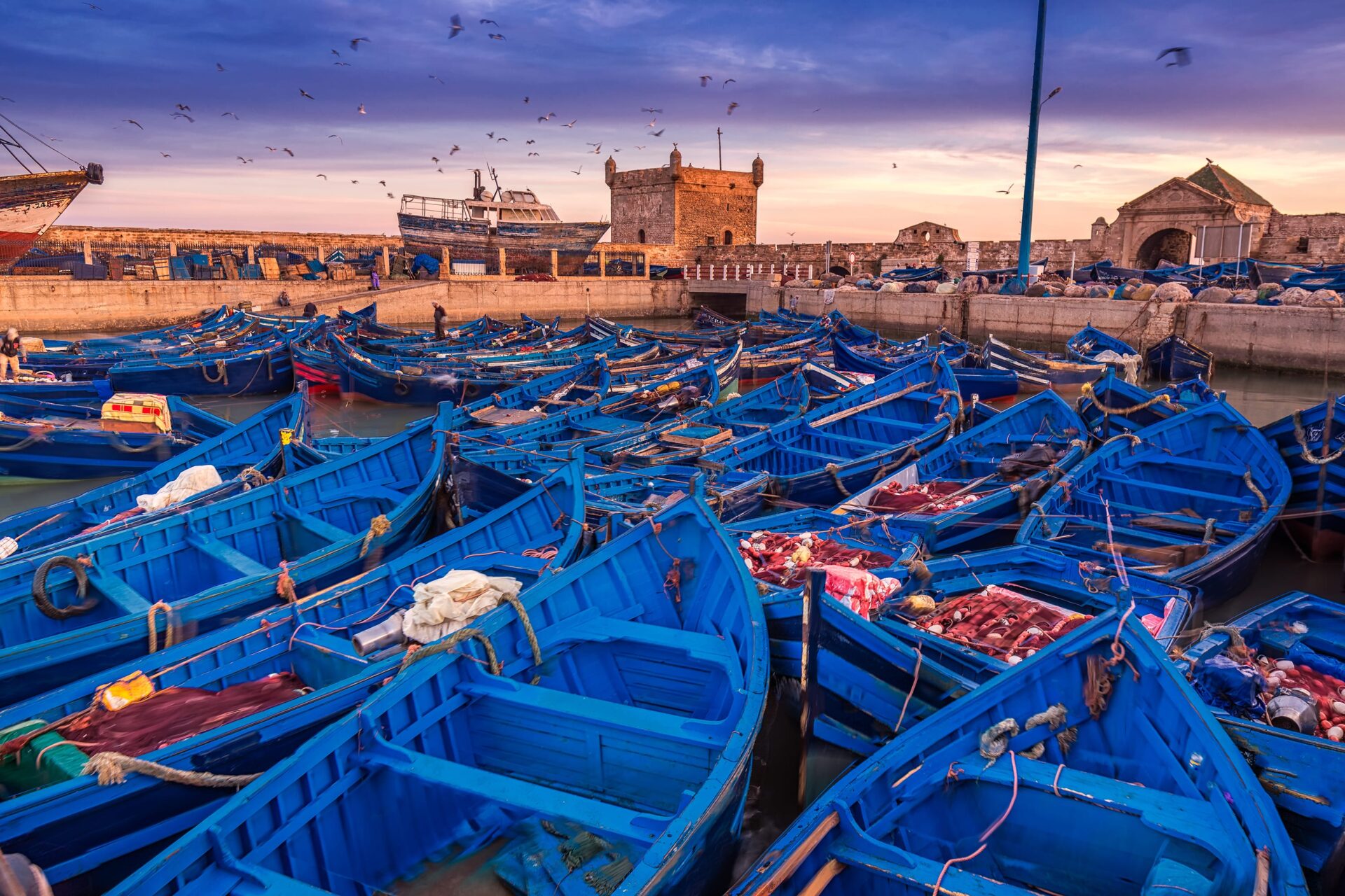 Vissershaven van Essaouira met blauwe vissersboten in Marokko