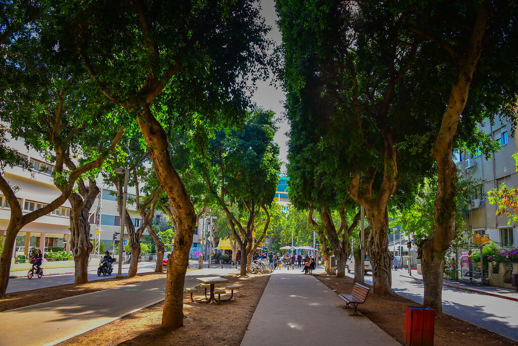 Rothschild Boulevard met bomen en fietsers in Tel Aviv