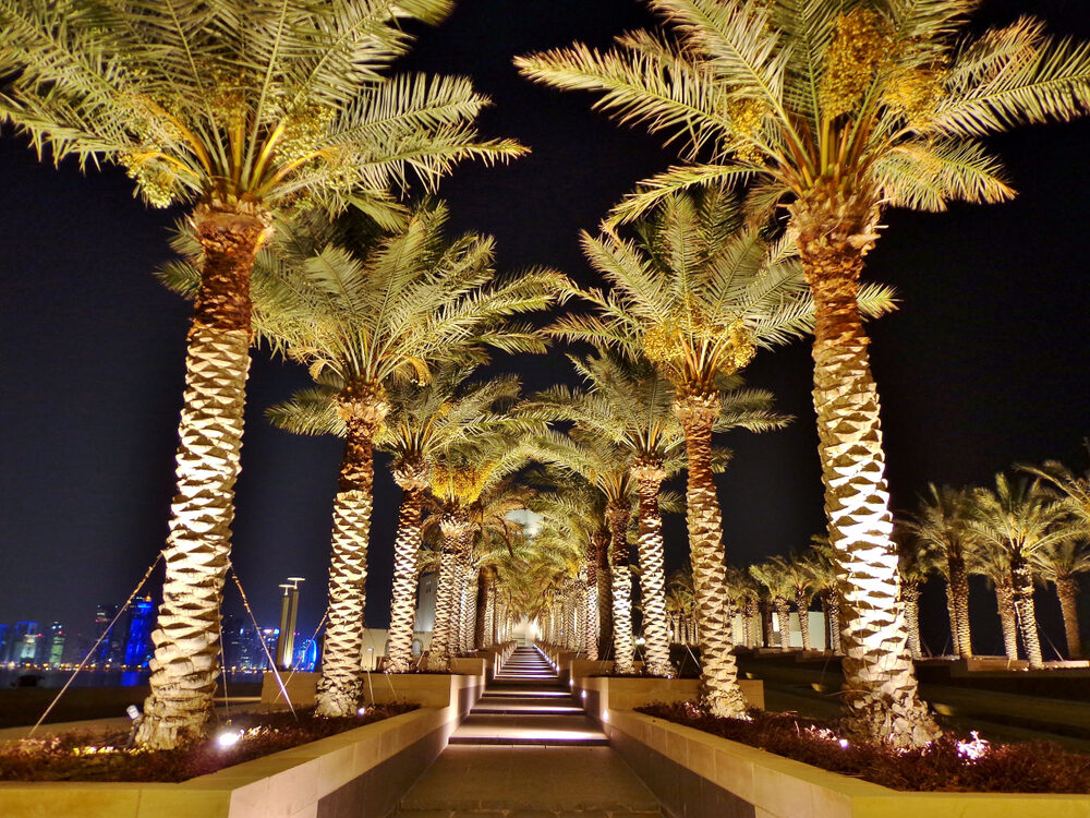 Verlichte palmboom promenade aan de Corniche van Doha in Qatar bij avond