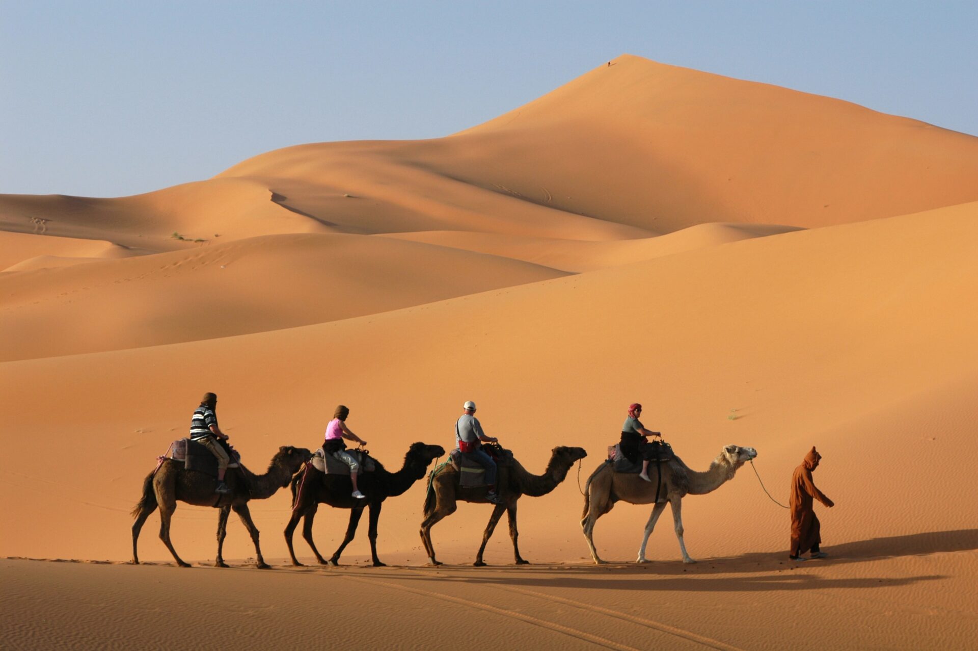 Kamelentocht door de Sahara woestijn in Marokko bij zonsondergang