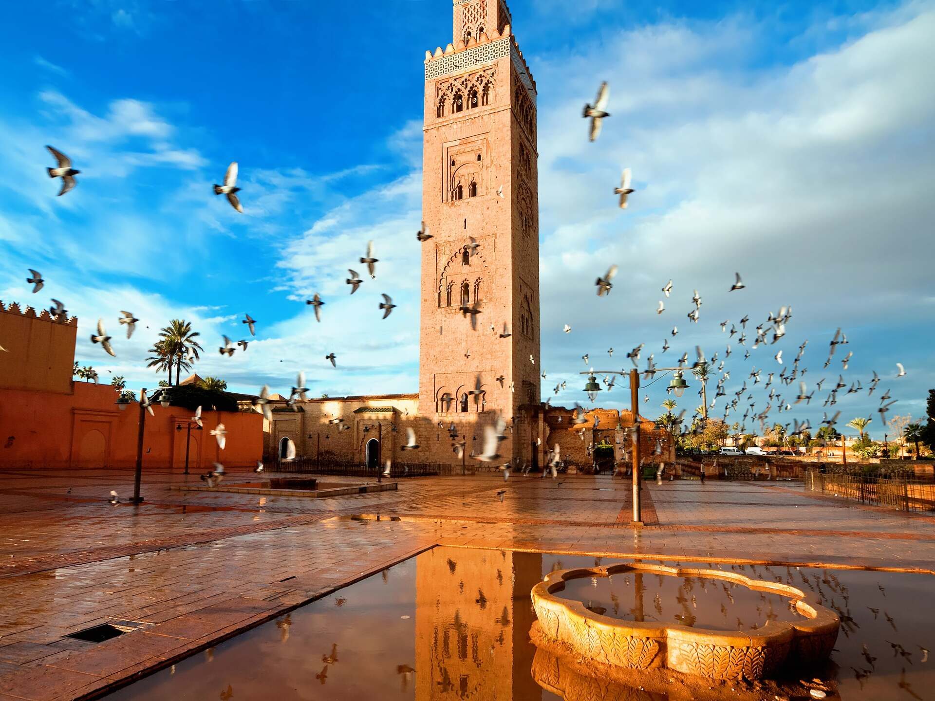 Koutoubia-moskee in Marrakech met minaret en vliegende vogels op het plein