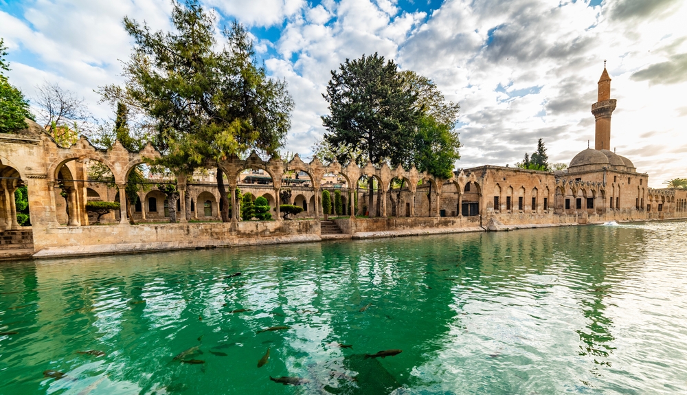 Karpers in het groene water van Balıklıgöl in Şanlıurfa met de zuilengalerij en moskee op de achtergrond